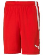 Puma Îmbracaminte Shorts TeamLiga Performance Rouge