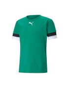 Puma Îmbracaminte T-shirt Teamrise Vert