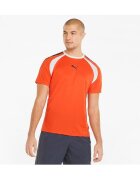 Puma Îmbracaminte Teamliga