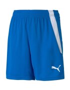 Puma Îmbracaminte Teamliga