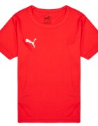 Puma Îmbracaminte TEAMRISE MATCH DAY