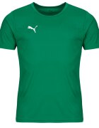 Puma Îmbracaminte TEAMRISE MATCHDAY