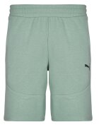 Puma Îmbracaminte TECH SHORTS