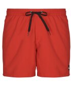 Quiksilver Îmbracaminte EVERYDAY VOLLEY 15