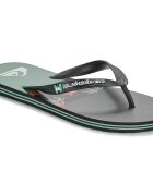 Quiksilver Pantofi MOLOKAI STRIPE