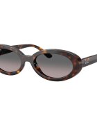 Ray-Ban Ceasuri & Bijuterii 0RB2223 902/M3