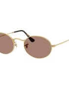 Ray-Ban Ceasuri & Bijuterii OVAL UNISEX 0RB3547 001/1A