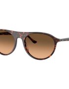 Ray-Ban Ceasuri & Bijuterii UNISEX 0RB2215 14293B