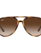 Ray-Ban Ceasuri & Bijuterii UNISEX 0RB4376 710/13
