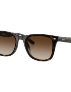 Ray-Ban Ceasuri & Bijuterii UNISEX 0RB4420 710/13