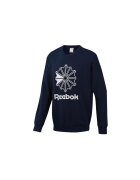 Reebok Sport Îmbracaminte AC FT Big Starcrest