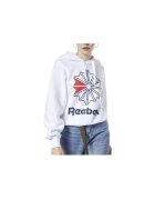 Reebok Sport Îmbracaminte CL FL Big Logo Hoodie