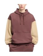 Reebok Sport Îmbracaminte Classic Hoodie Ft