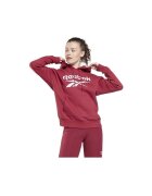 Reebok Sport Îmbracaminte Identity Pullover