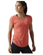 Reebok Sport Îmbracaminte Workout Ready Supremium Big Delta Tee