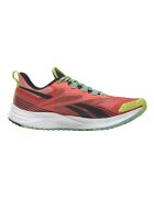 Reebok Sport Pantofi Floatride Energy 4 Adventure