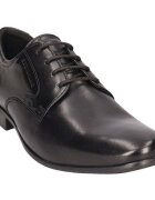 Salamander Pantofi -
