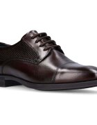 Salamander Pantofi -
