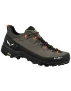 Salewa Pantofi Alp Trainer 2