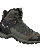 Salewa Pantofi Trainer Liteid Gtx