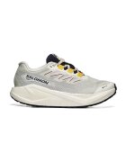 Salomon Pantofi Aero Blaze 3 Grvl GTX