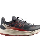 Salomon Pantofi Alpharide 2 GTX