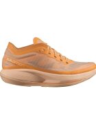 Salomon Pantofi L41610500