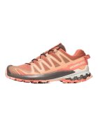 Salomon Pantofi L47468200