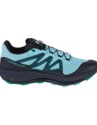 Salomon Pantofi Pulsar Trail
