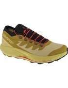 Salomon Pantofi Pulsar Trailpro