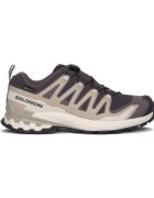 Salomon Pantofi Xa Pro 3d V9 Gtx W