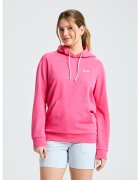 Slam Îmbracaminte Logo Ws Hoodie