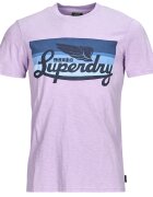 Superdry Îmbracaminte CALI STRIPED LOGO T SHIRT