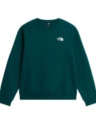 The North Face Îmbracaminte M Evo Box Nse Reg Crew