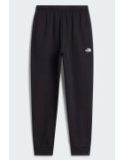 The North Face Îmbracaminte M Evo Sd Reg Jogger