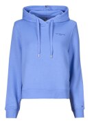 Tommy Hilfiger Îmbracaminte 1985 RLX MINI CORP LOGOHOODIE