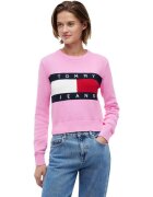 Tommy Hilfiger Îmbracaminte DW0DW22930
