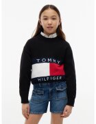 Tommy Hilfiger Îmbracaminte Heritage Sweater