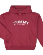 Tommy Hilfiger Îmbracaminte MONOTYPE PRINT HOODIE
