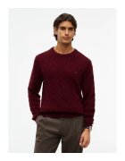 Tommy Hilfiger Îmbracaminte MW0MW40442