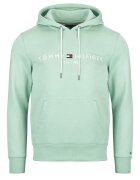Tommy Hilfiger Îmbracaminte TOMMY LOGO HOODY