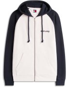 Tommy Jeans Îmbracaminte Tjm Reg La Fz Hoodie