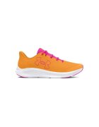 Under Armour Pantofi Charged Pursuit 3