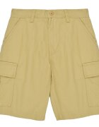 Vans Îmbracaminte SERVICE CARGO SHORT