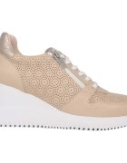 Wonders Pantofi Change