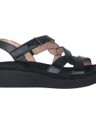 Wonders Pantofi Cordelia