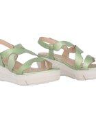 Wonders Pantofi Max