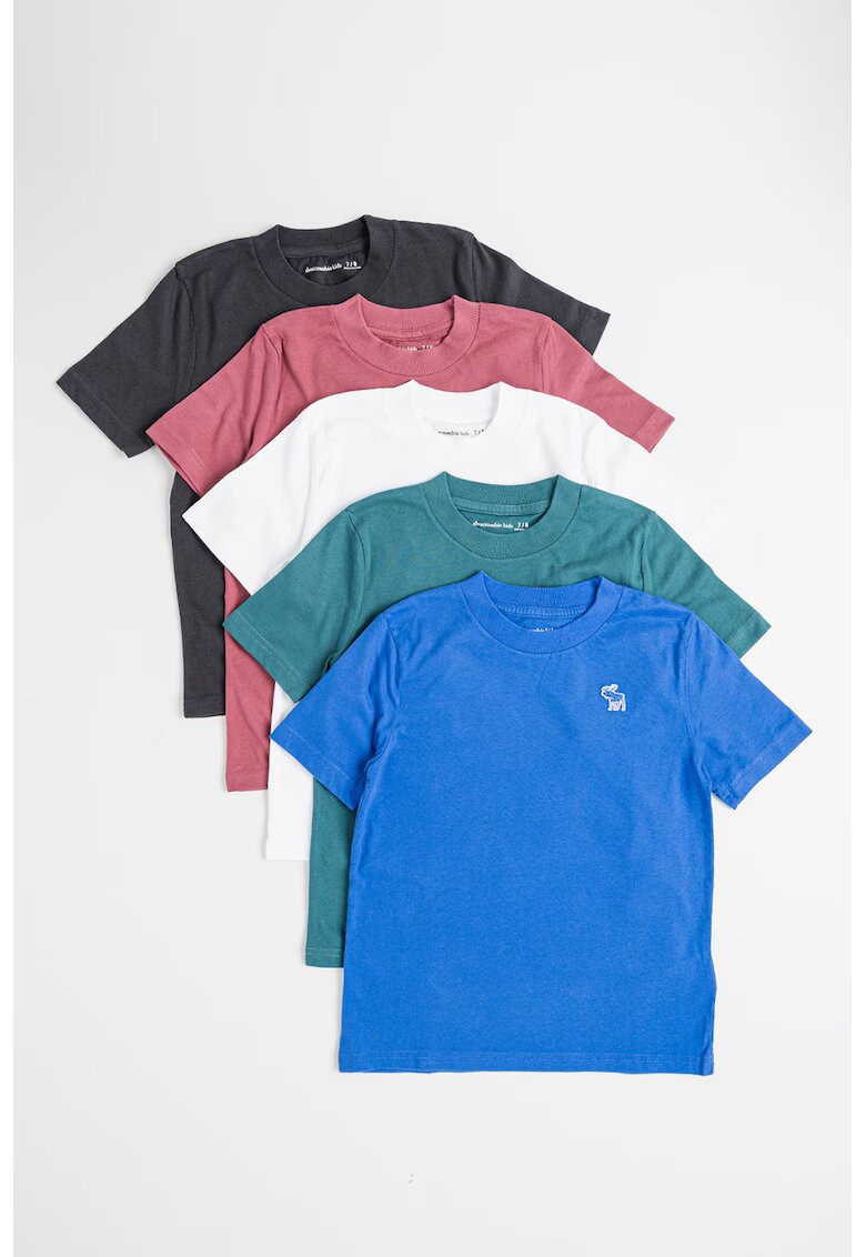 Abercrombie  Fitch Set de tricouri cu decolteu la baza gatului - 5 piese - Multicolor