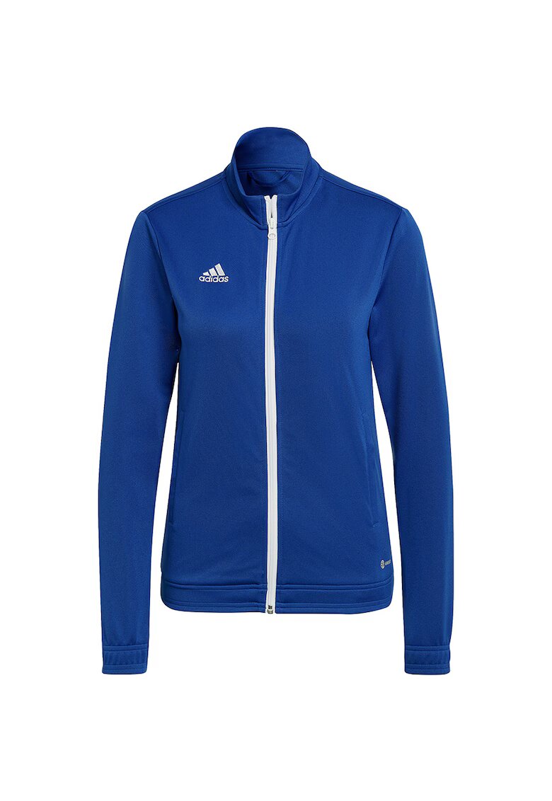 adidas Hanorac sport dama albastru - Albastru