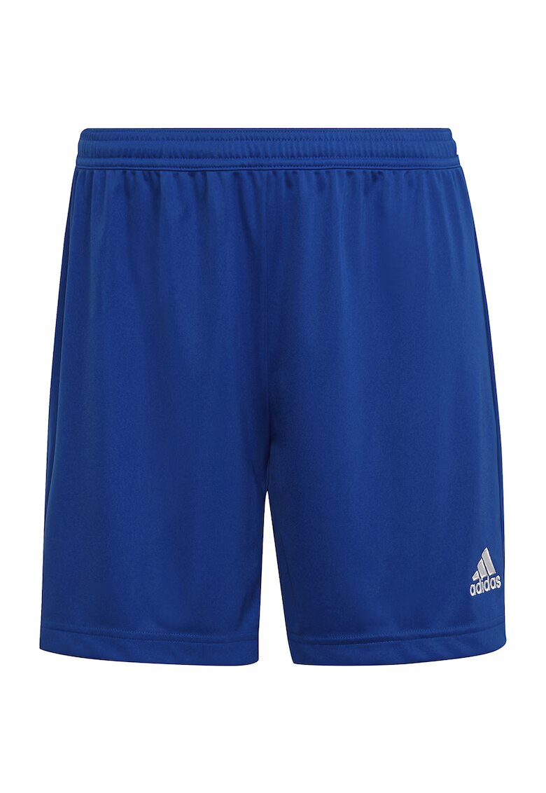 adidas Pantaloni sport dama - Albastru - Albastru
